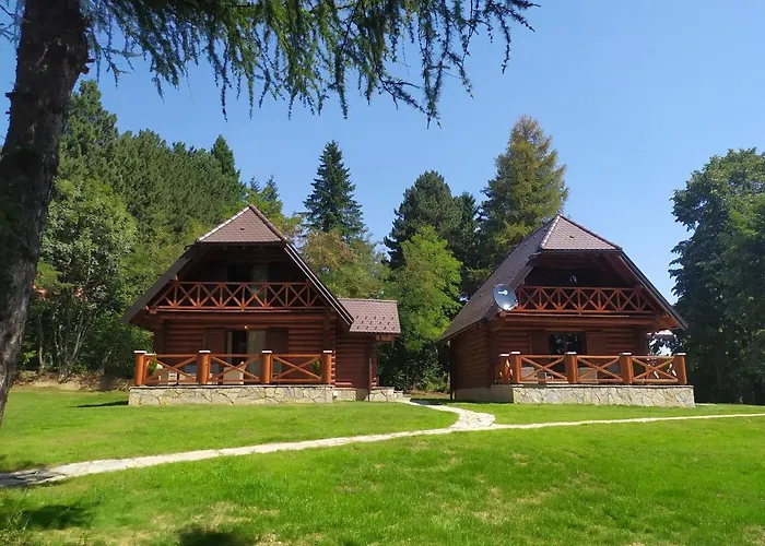 Brvnare Park Borova