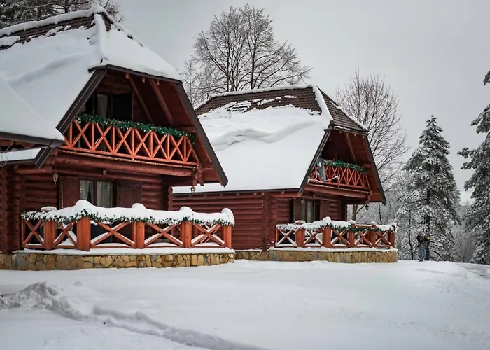 Brvnare Park Borova
