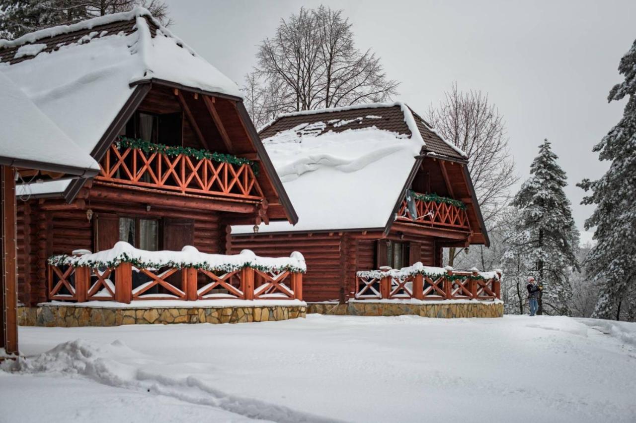 Chalet Brvnare Park Borova Zlatibor