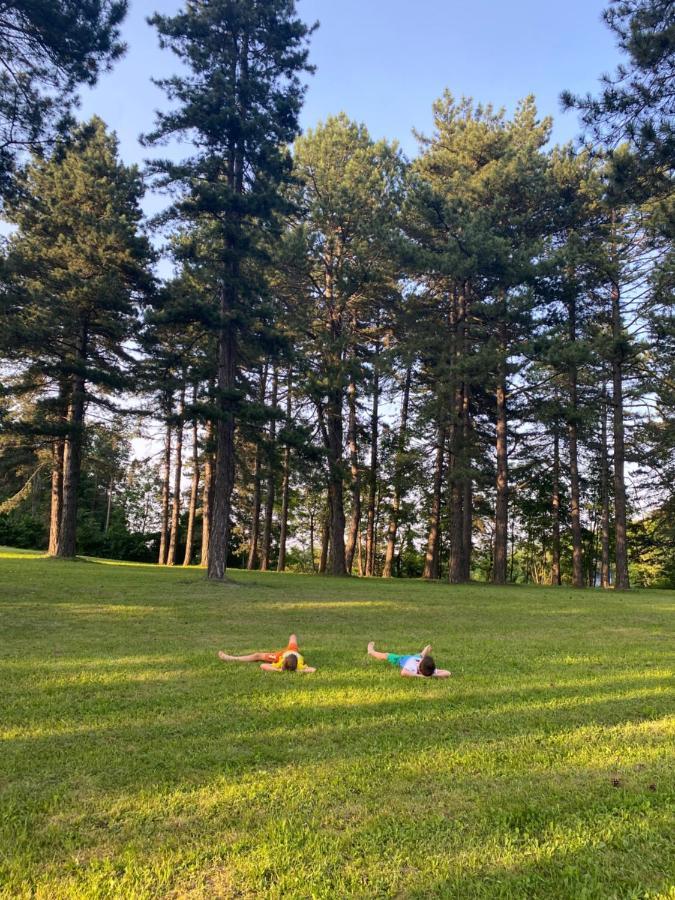Brvnare Park Borova * Zlatibor